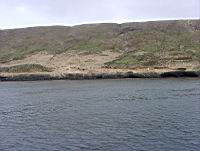 Santa Barbara Isalnd Sea Lion Rookery