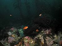 P6072996lrs.JPG