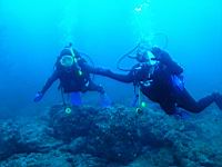 P6073200lr.JPG