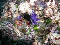 P6073244ars.JPG
