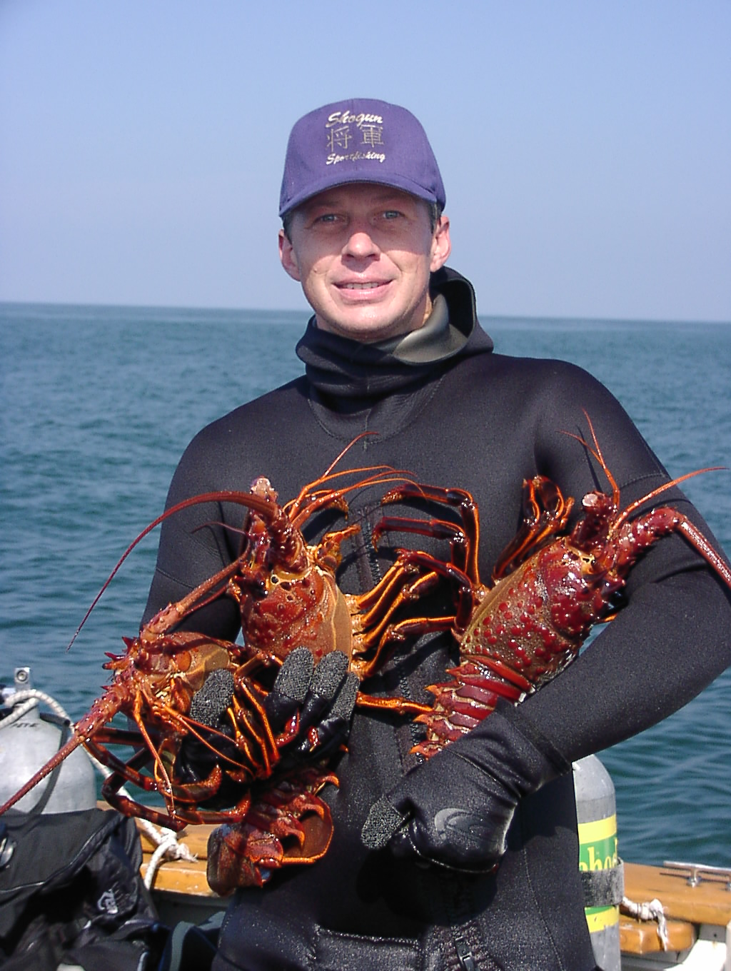 California Rock Lobster(Panulirus interruptus)